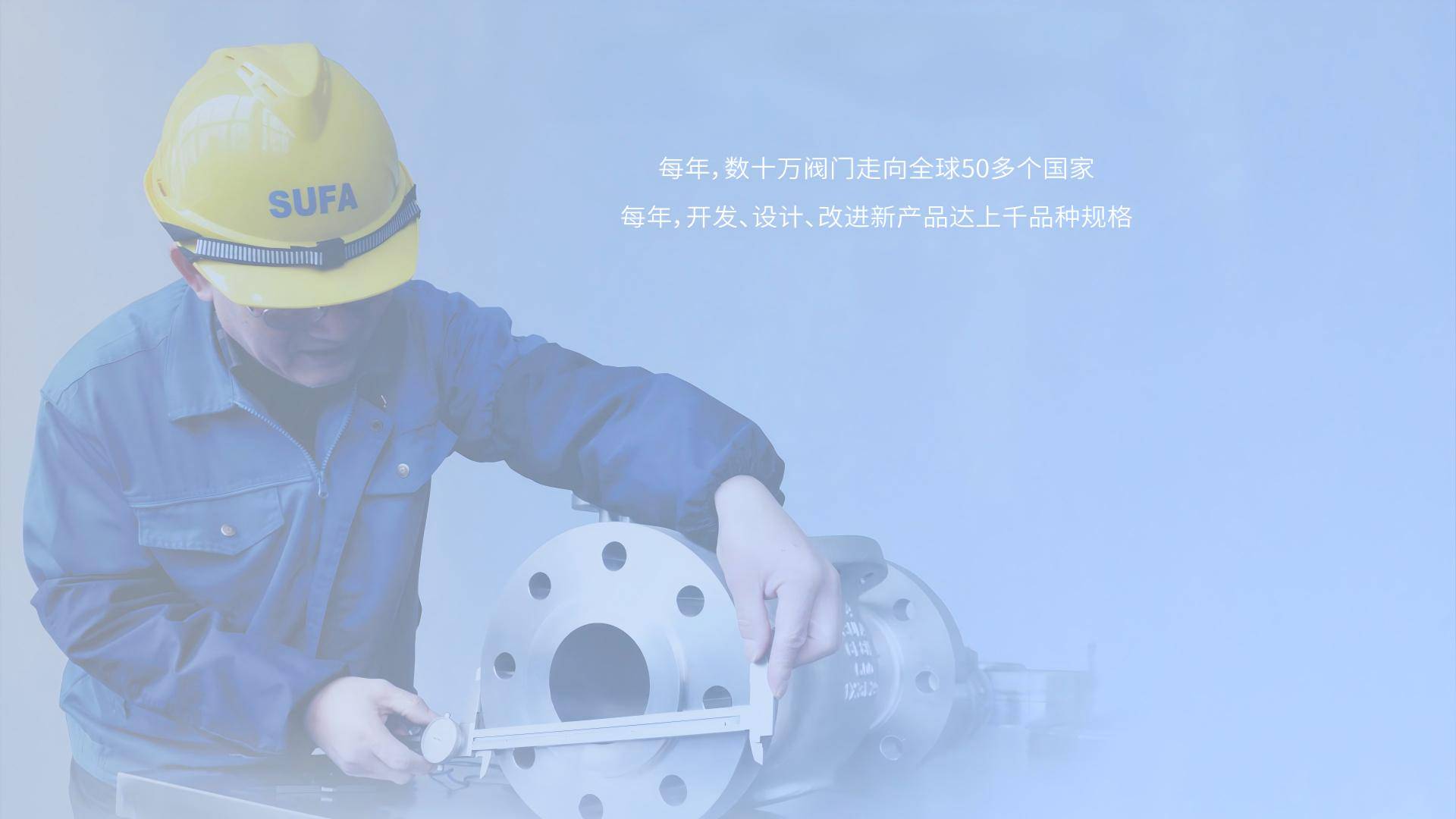 阿卡盟中核苏阀专业服务与检测