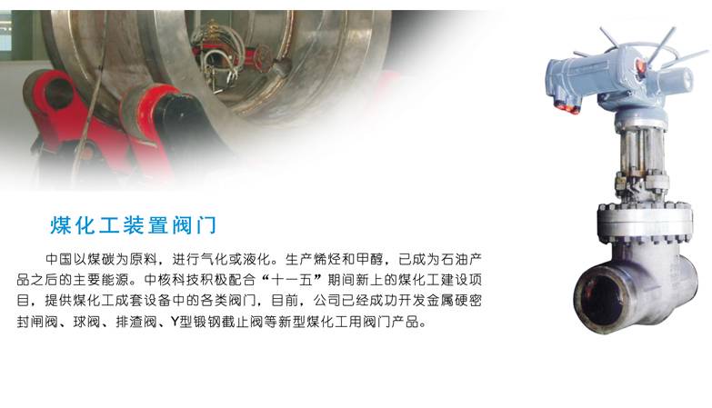 煤化工阀门